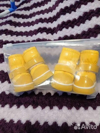 Ботинки для собак