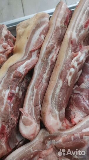 Продам мясо свинина