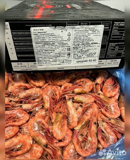 Креветка Северная