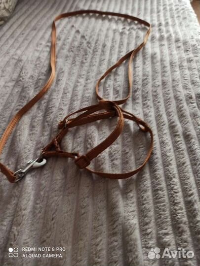 Шлейка для маленькой собаки