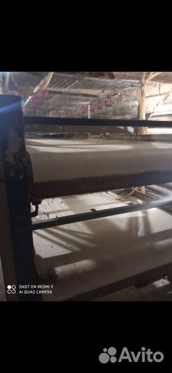 Клетки для содержания бролеров