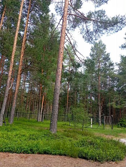 Дом 54 м² на участке 16 сот.