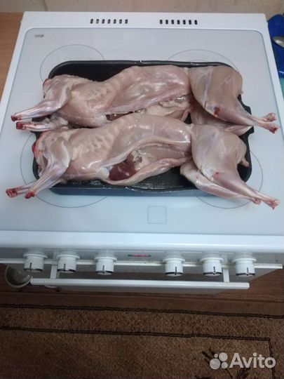 Мясо кролика