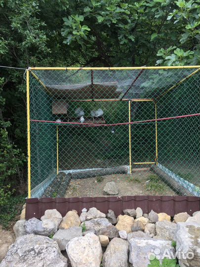 Кемпинг / автокемпинг