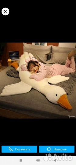 Гусь обнимусь