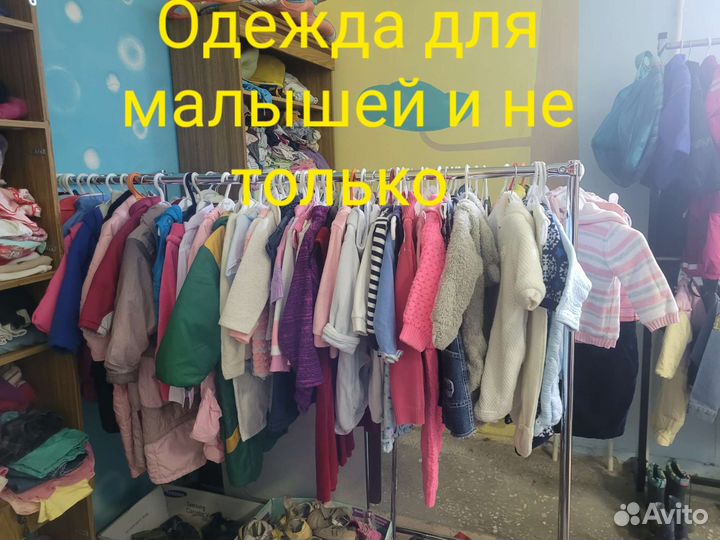Одежда