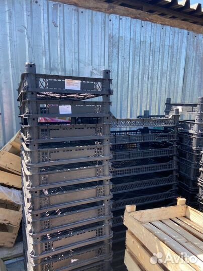 Банановые коробки и Ящики