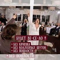 Ведущий-DJ (2в1) на юбилей, свадьбу, корпоратив, Краснозаводск