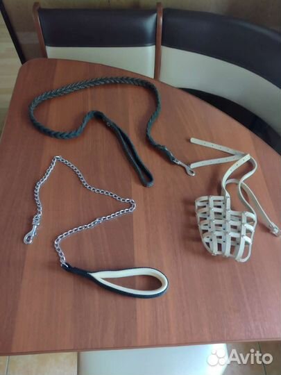 Амуниция для собак