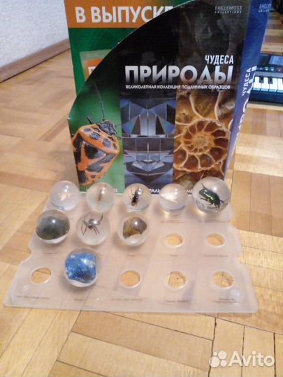 Коллекция «Чудеса природы»