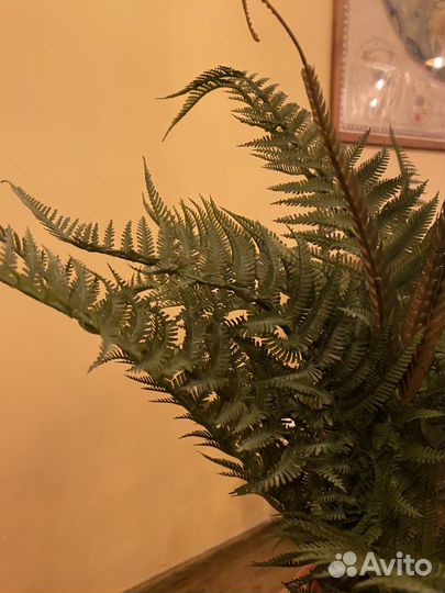 Папоротник искуственный ветка 50см