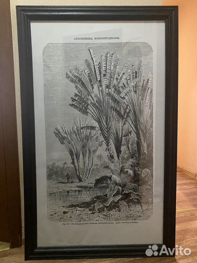 Картины Гравюры большие