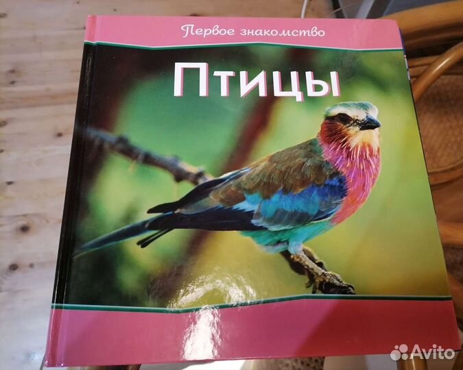 Набор из 3 книжек для маленьких, новые