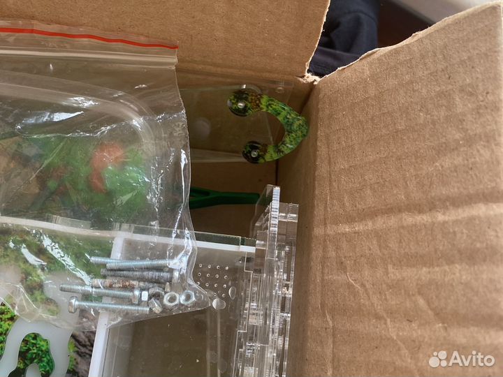 Муравьиная ферма без муравьев