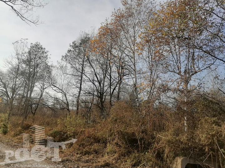 Участок 10 сот. (СНТ, ДНП)