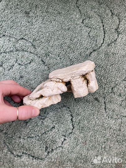 Островок для черепахи