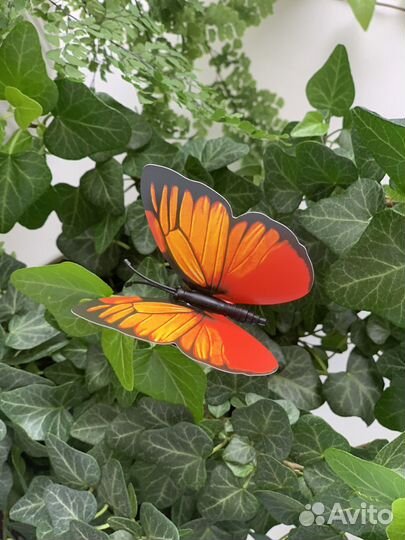 Штекер-бабочка, украшение для комнатных цветов