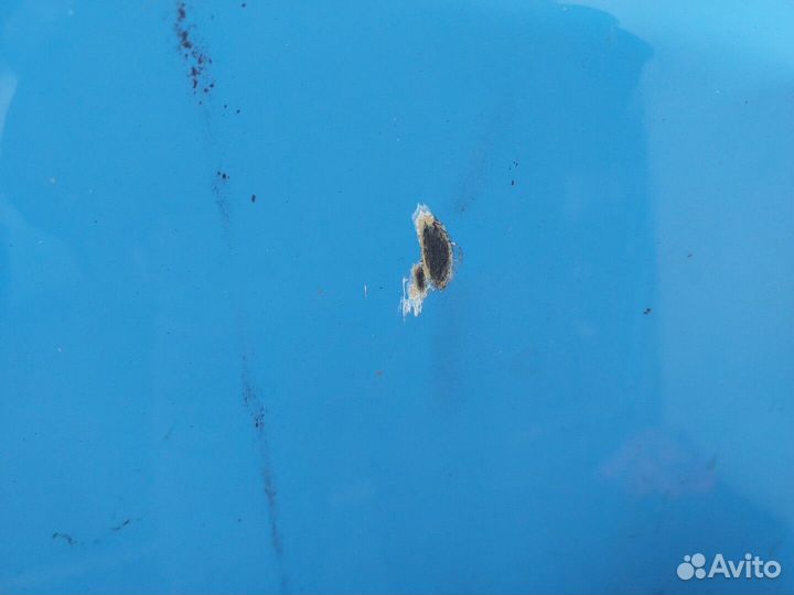 Капот Fiat Panda, 2003