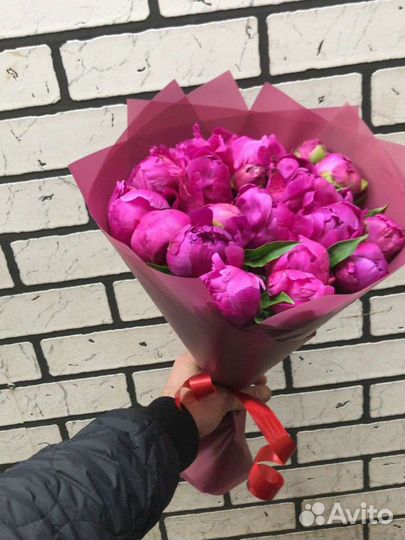 Пионы свежие с доставкой быстро рядом качественно