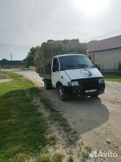 Сено суданка с доставкой