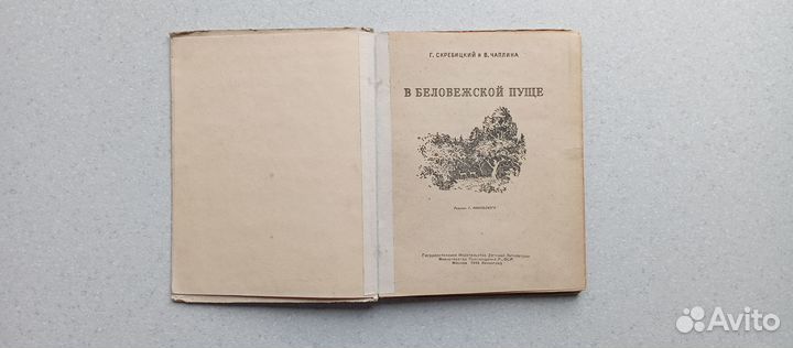 В беловежской пуще.1949 (г.скребицкий)