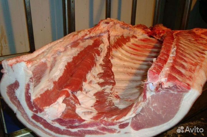 Продаю свинину