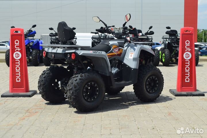 Квадроцикл Motax ATV Grizlik 250 Ultra (Гризлик)