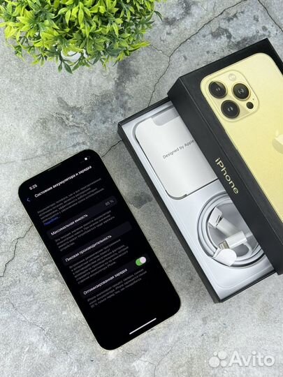 iPhone 13 Pro, 256 ГБ