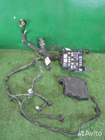 Жгут проводки двигателя Ford Fiesta (CB1) 2011