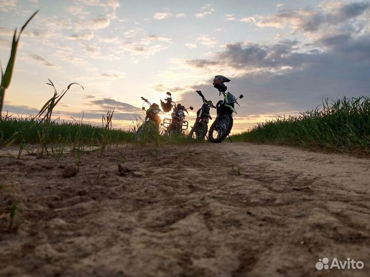 Продам питбайк ирбис ттр 125