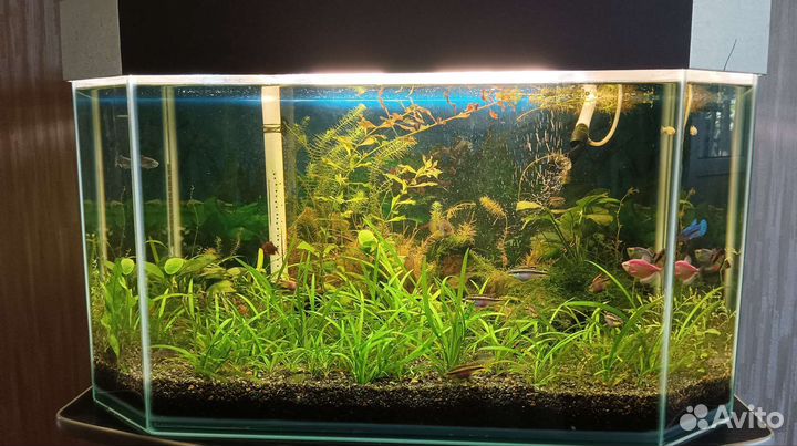 Аквариум