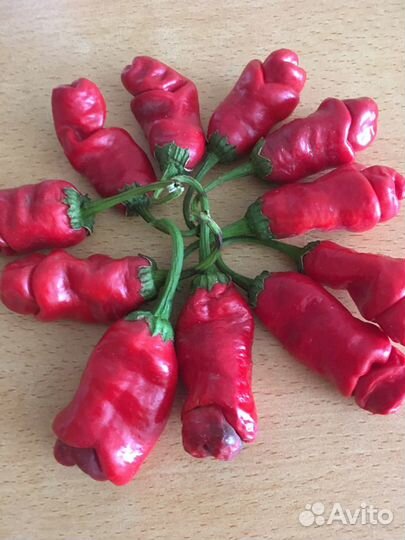 Семена разных перцев чили