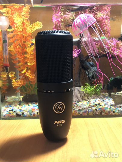 Микрофон студийный AKG P120