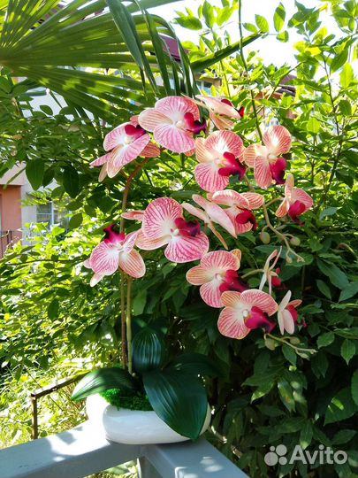 Орхидея искусственная