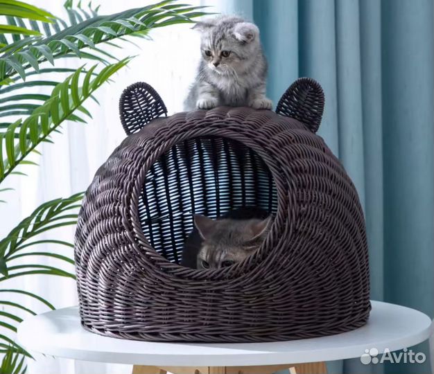 Домик для кота