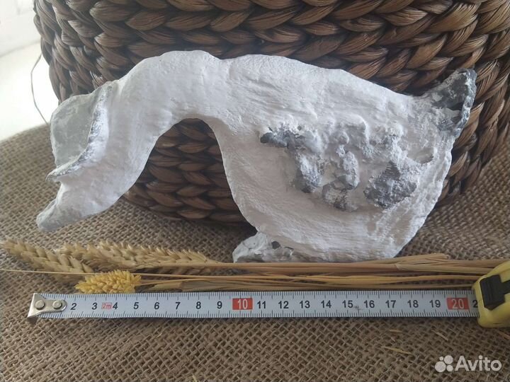 Фигура, любопытный гусь