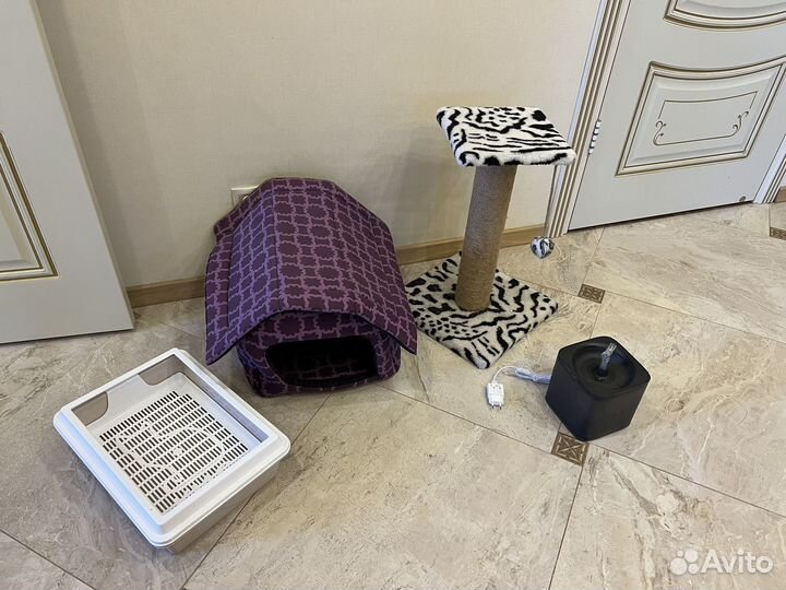 Дом для кошки, поильник, когтеточка, туалет