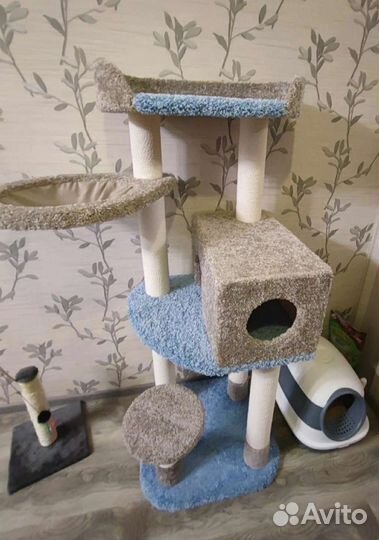 Игровые комплексы и когтеточки для кошек
