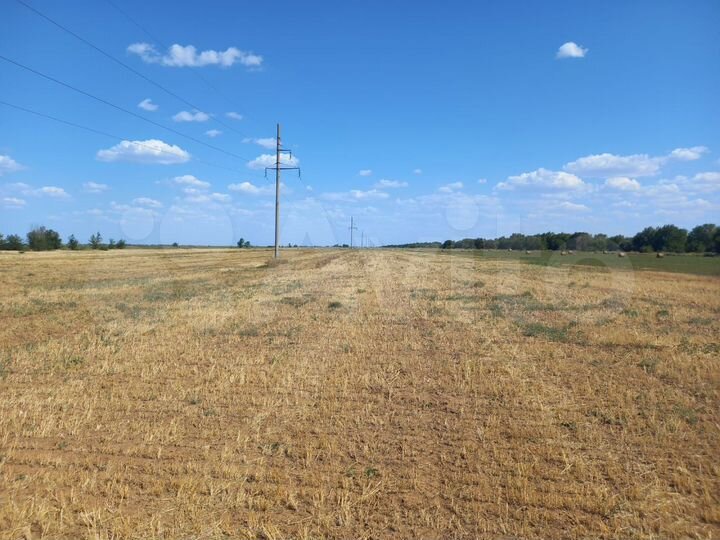 Участок 100 га (СНТ, ДНП)