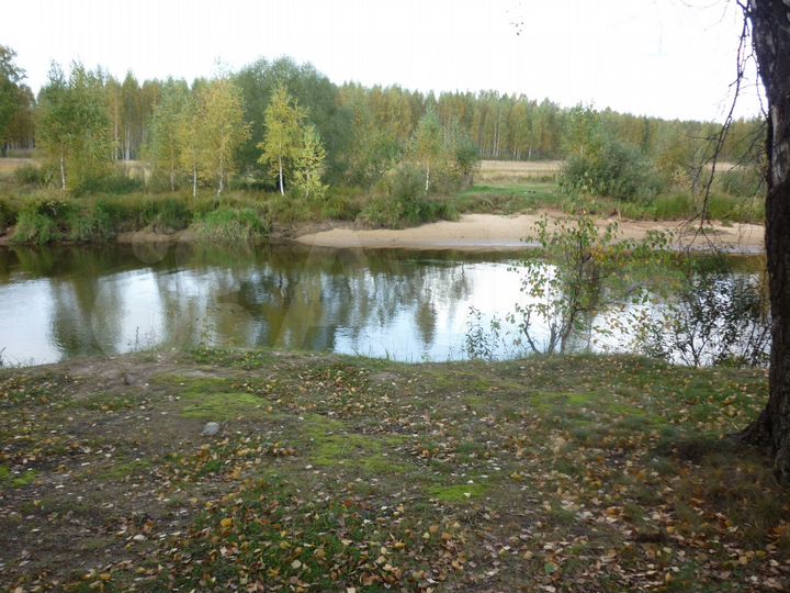 Участок 20 га (СНТ, ДНП)