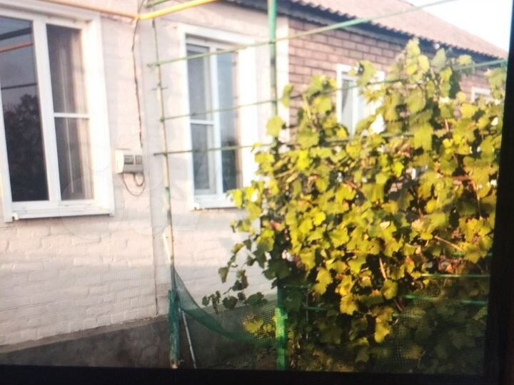 Дом 58 м² на участке 36 сот.