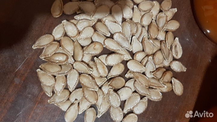 Тыква,семена жаба и мраморная и витамигка