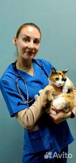 Работа ветеринарный врач