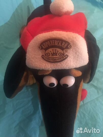 Собака такса