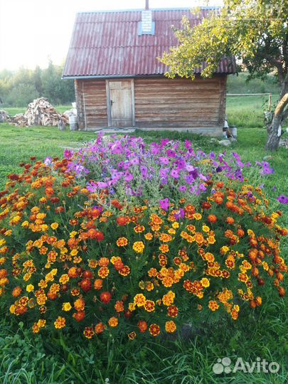 Отдых и рыбалка в Беларуси