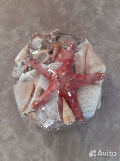 Набор ракушек