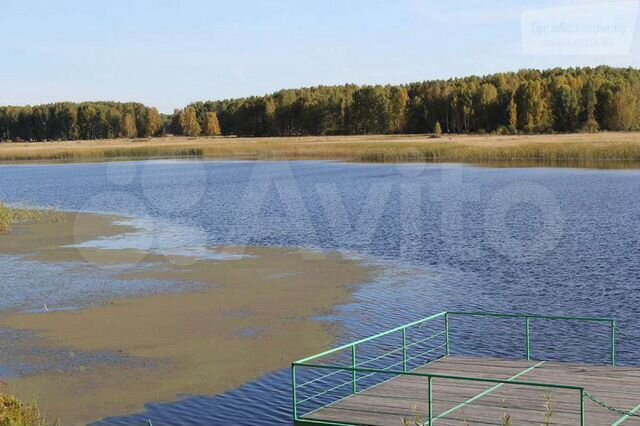 Участок 100 сот. (СНТ, ДНП)