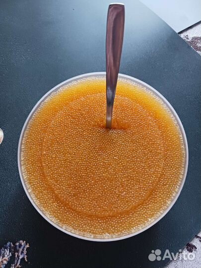 Щучья икра- путина 2023