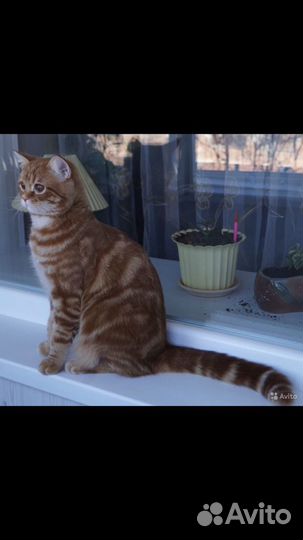 Котик для вязки