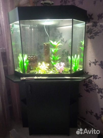 Угловой аквариум 100 литров с тумбочкой